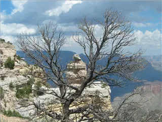 small_Grand Canyon-2005 009.webp